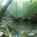 Honey Creek Loop trail-5.jpg